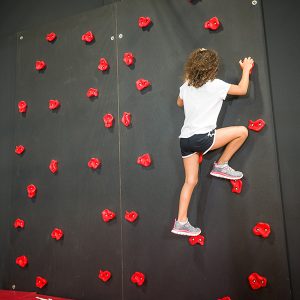 G2N Climbing Wall