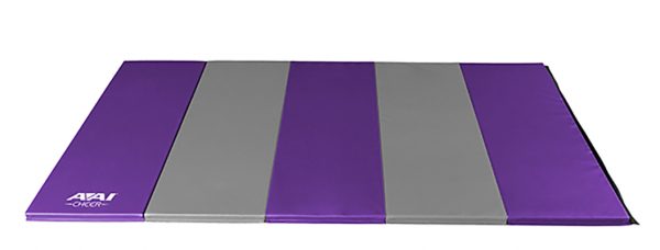 AAI Cheer Purple & Grey Panel Mat