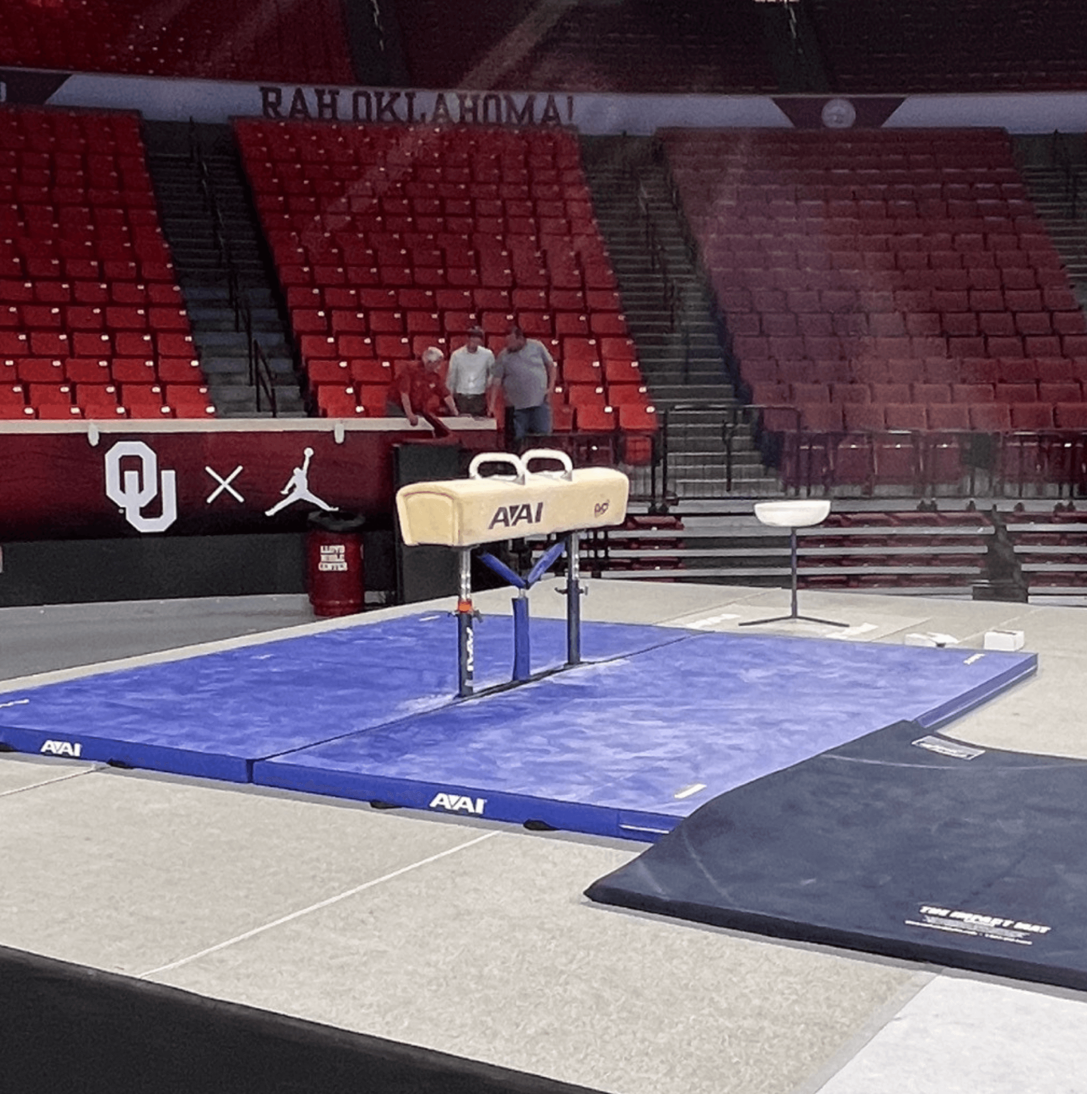 EVO Elite Pommel Horse