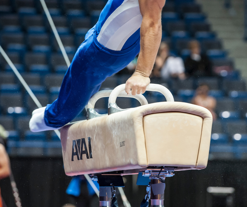 Elite Pommel Horse