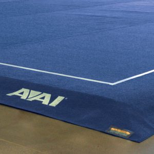 American Elite Floor Exercise System