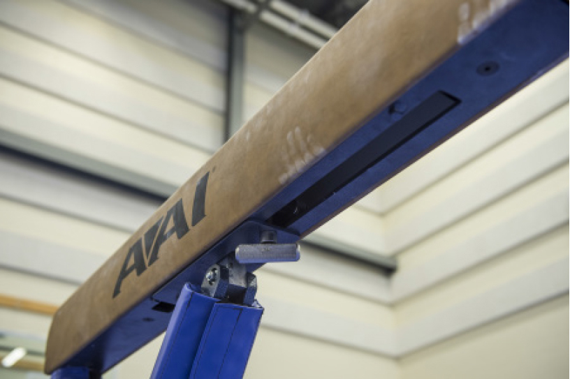 AAI EVO-ELITE® Balance Beam - Image 3