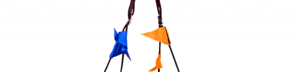 Saucer Swing